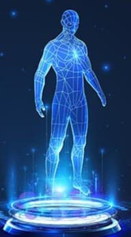 Virtual Human Twin Validation